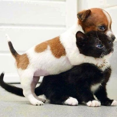 Вероника Слуцкая