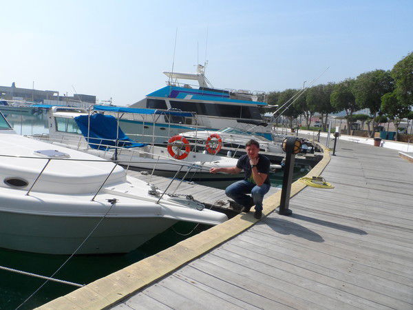 Дмитрий Венгилевских