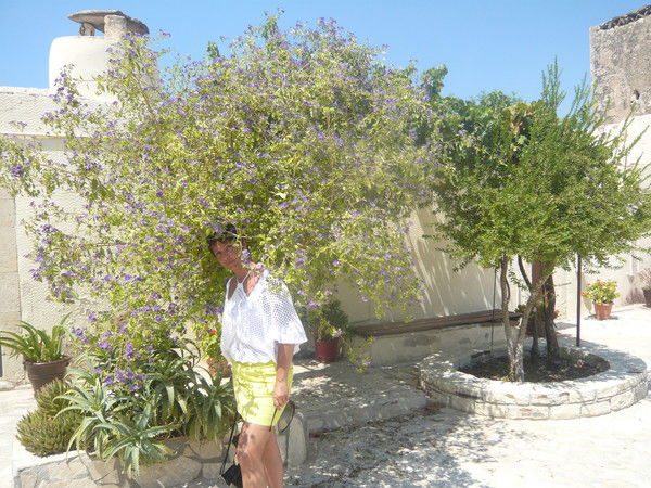 Наталья Лебедева