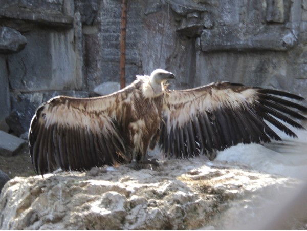 Алексей Бызеев