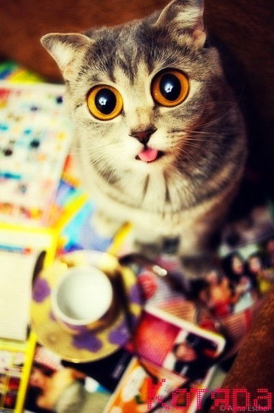 Юлия Дементьева