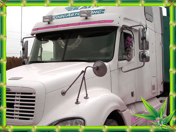 Сергей Гребенюк