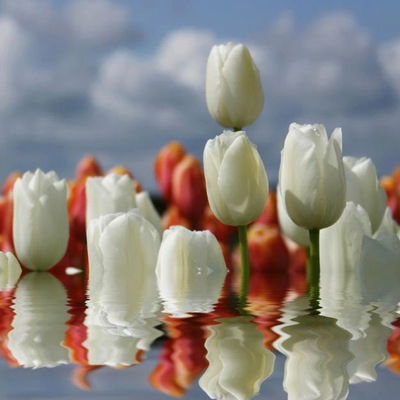 Розалия Гатиятуллина