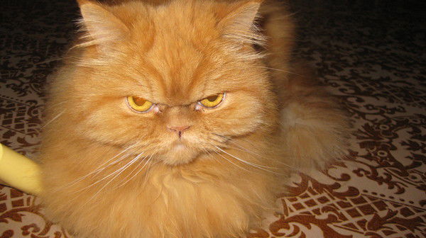 Анатолий Ситов