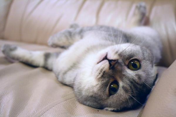 Наталья Смирнова