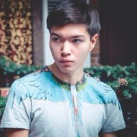 Артур Черкашин