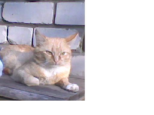 Лидия Мазурова