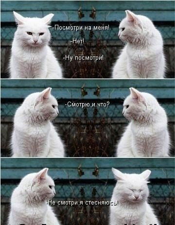 Тимур Гайнельянов