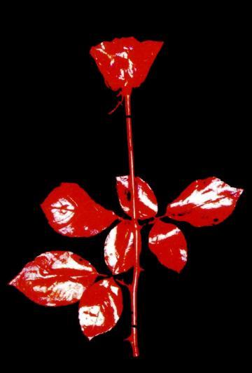 Анастасия Серебрякова