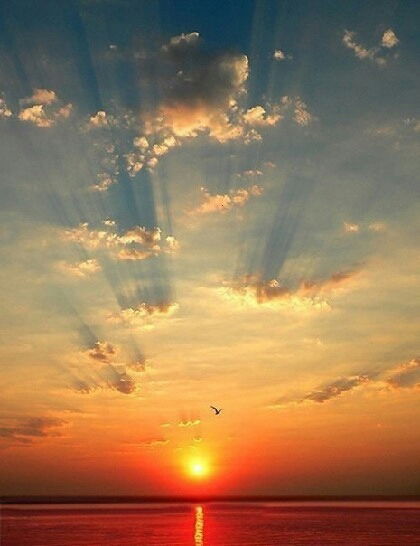 Александр Валерьевич