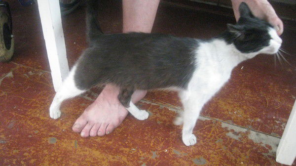 Марина Бортникова