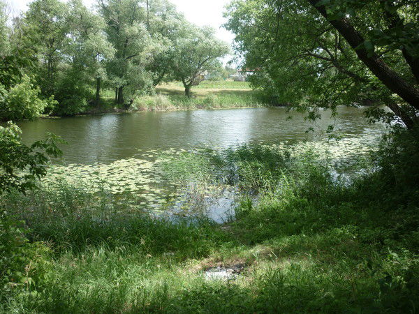 Лидия Захарова