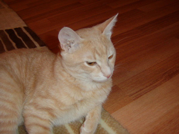 Юлия Баймакова