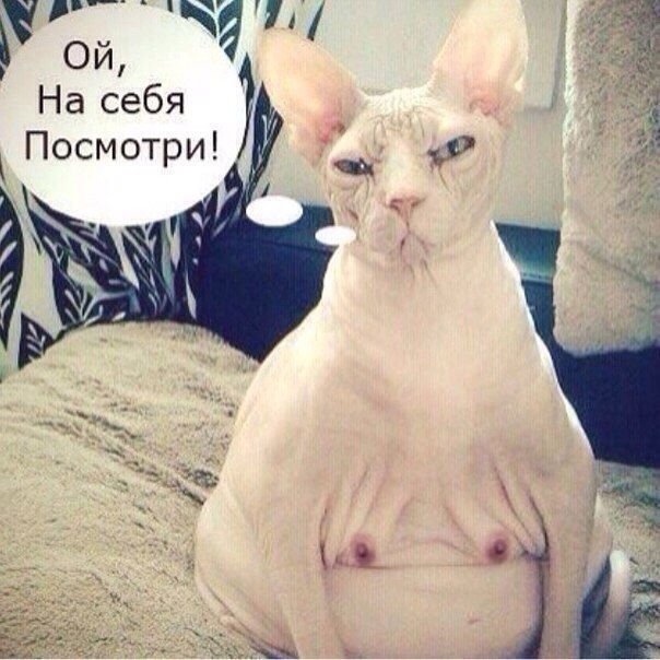 Анастасия Терещенко