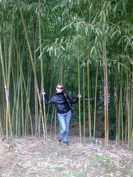 Полина Миронова