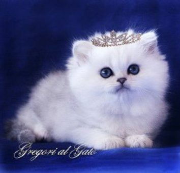 Ирина Урбан