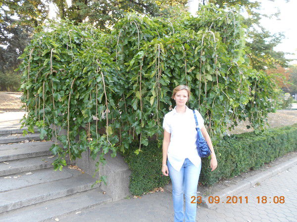 Ольга Беляева