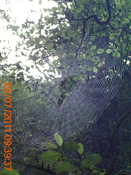 Татьяна И Сергей Мандрюковы