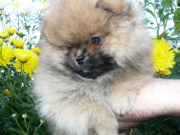 Екатерина Соловьева