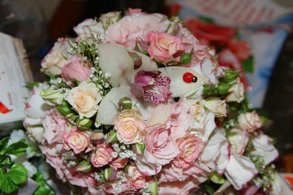 Светлана Мамедова