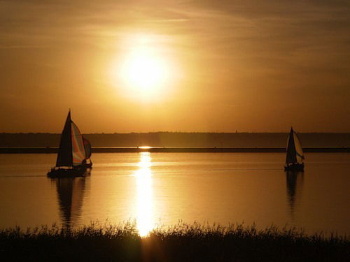 Aлександр Шехурдин