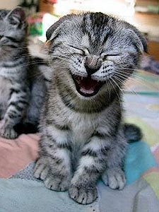 Шляхтин Сергей