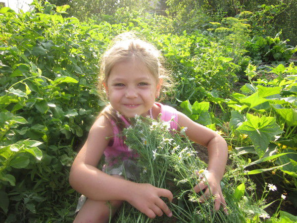 Сергей Макаренко