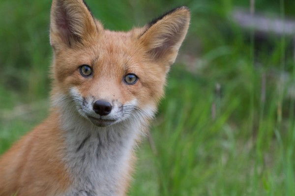 Валентин Туров