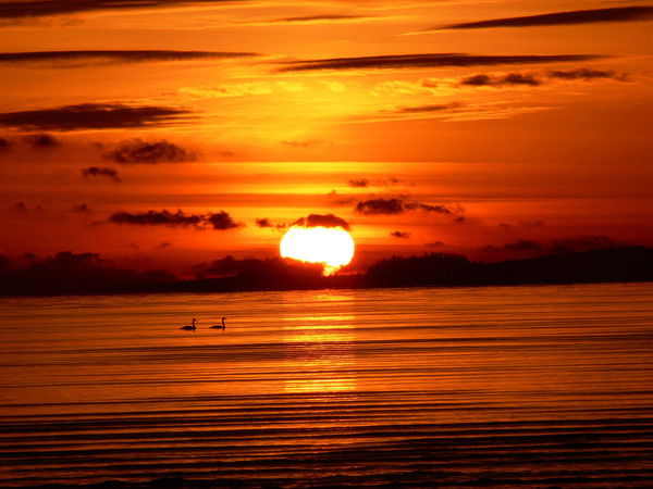 Ольга Заварухина