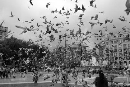 Евгения Ошоева