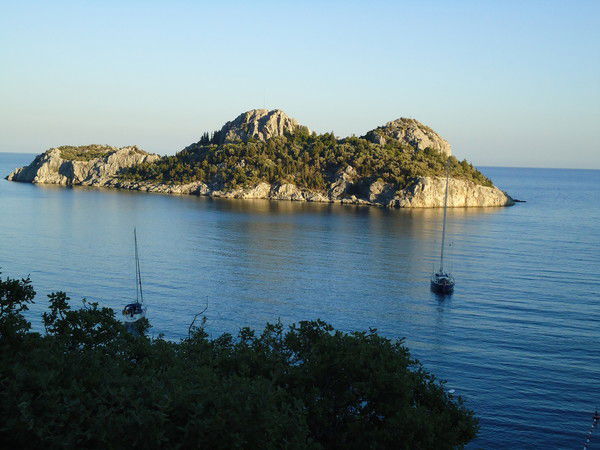 Елена Абрамова