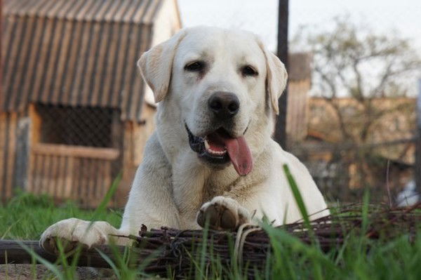 Олег Жиляев