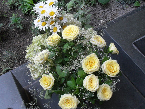 Ирина Яковенко