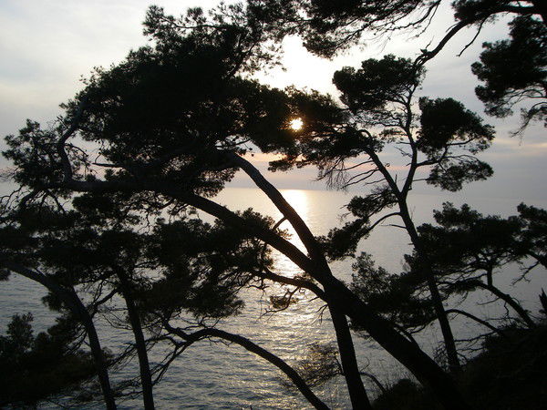 Евгений Шверин