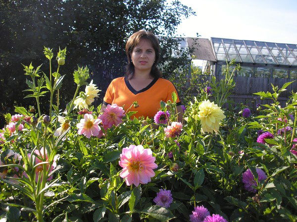 Елена Морозова