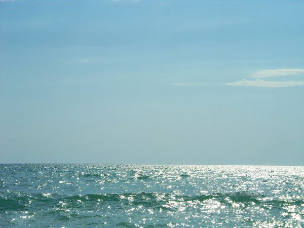 Вадим Мирошниченко