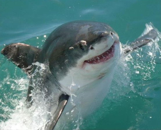 Сергей Куфарев