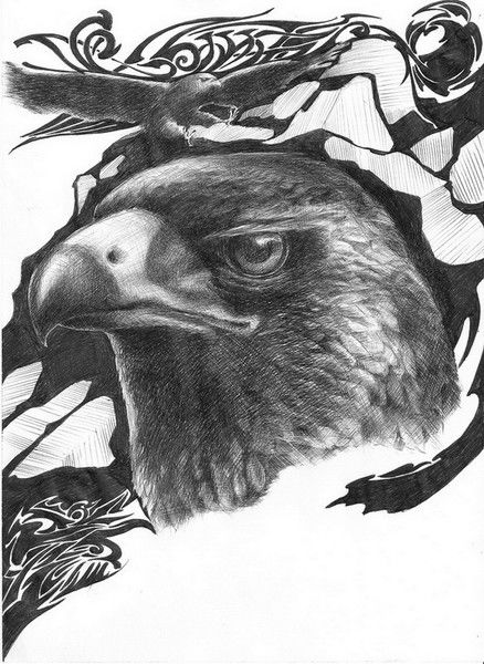 Топ_Топ Топ