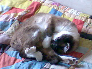 Виктор Артюхин