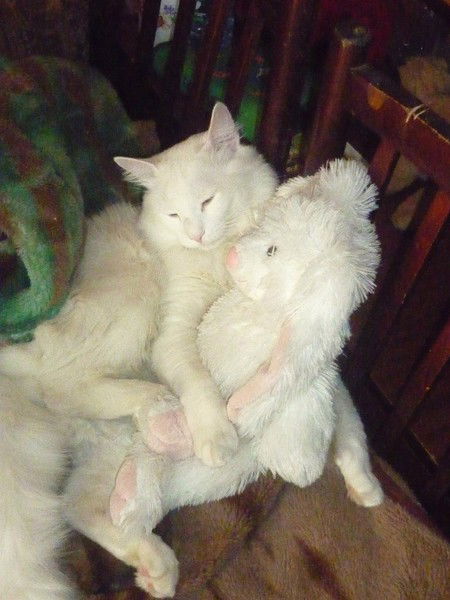 Павел Зубарев