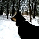 Андрей Прямов