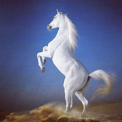 Жамила Бекбай