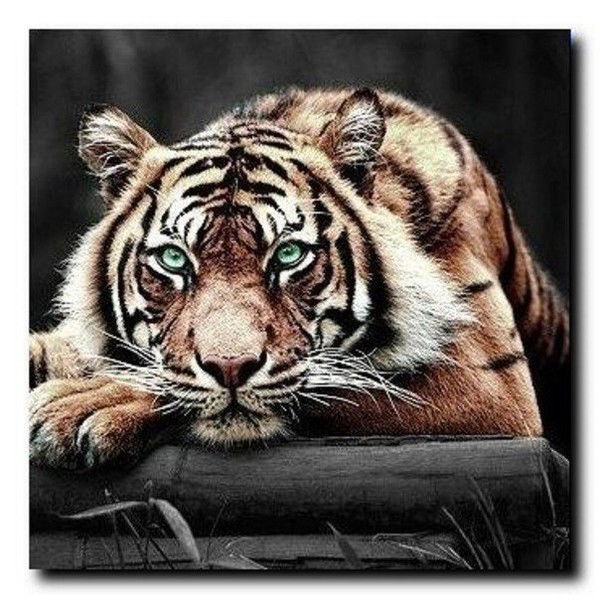 Виктор Коваленко