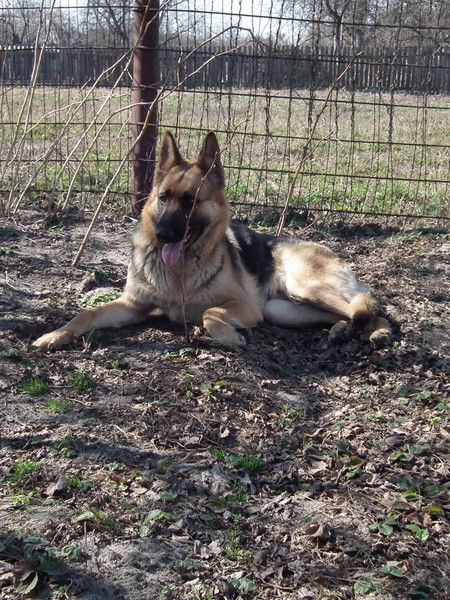 Игорь Матвей