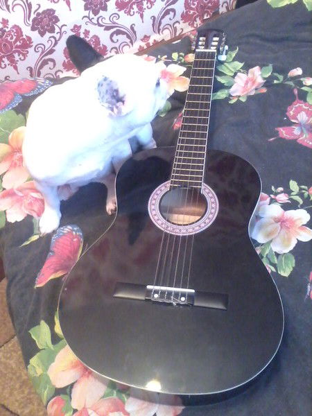 Саня Харитонов