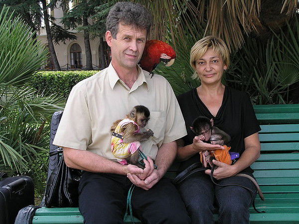 Вячеслав Сазонов