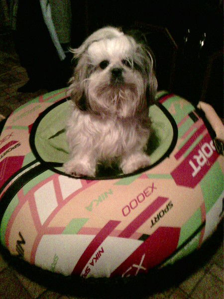 Ольга Рыбакова