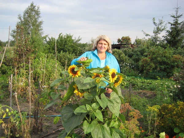 Наталья Латынцева