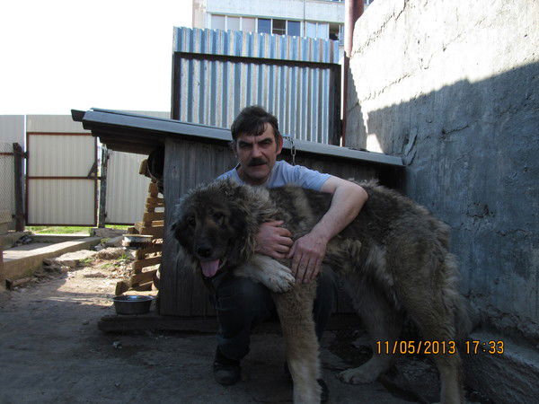 Сергей Компаниец