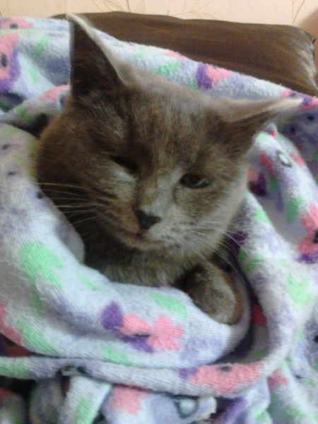 Лариса Лабанова